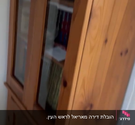 ארון עץ עם דלתות זכוכית וספרים בפנים